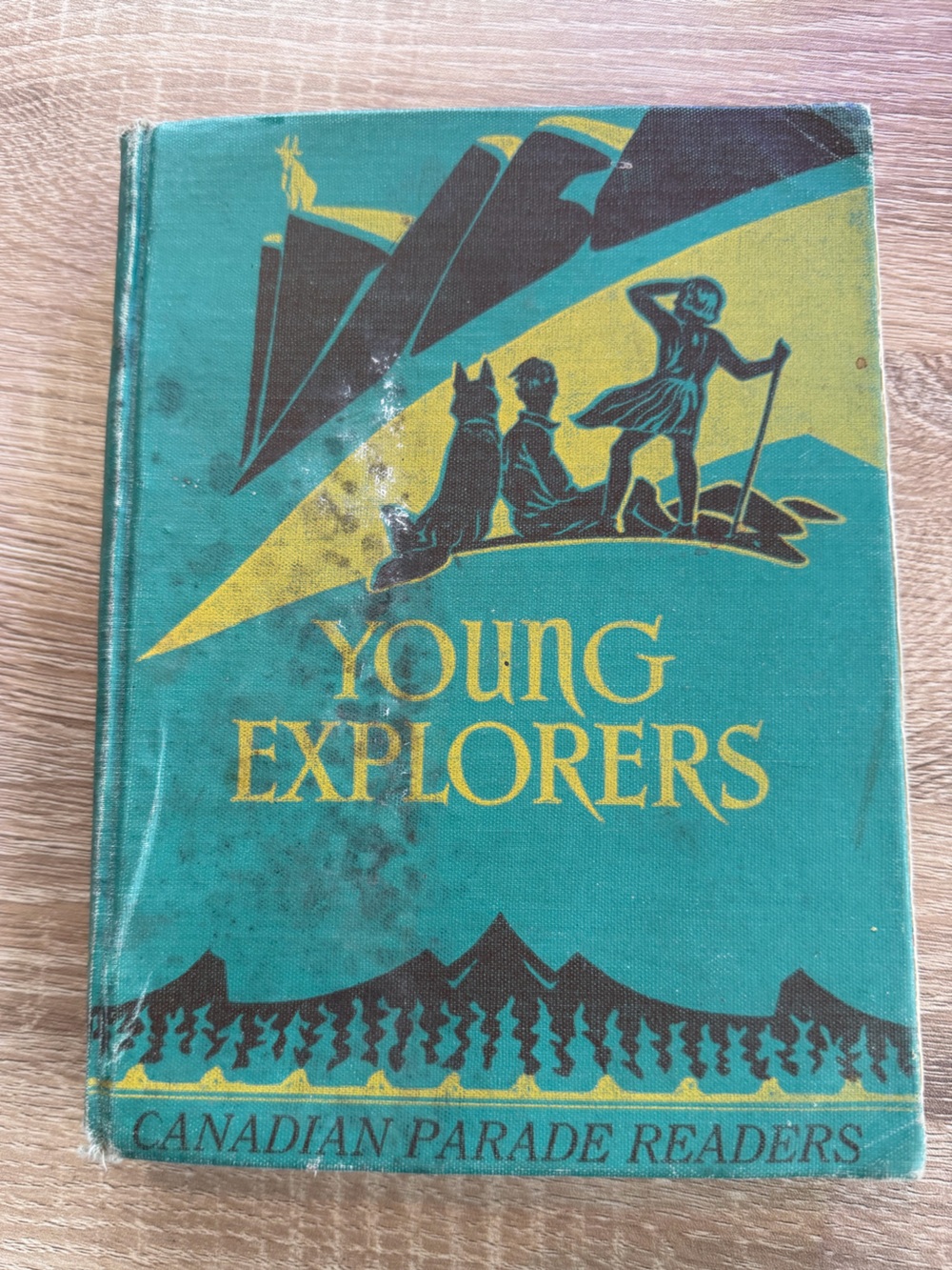 Vintage Hardcover Book “Young Explorers”